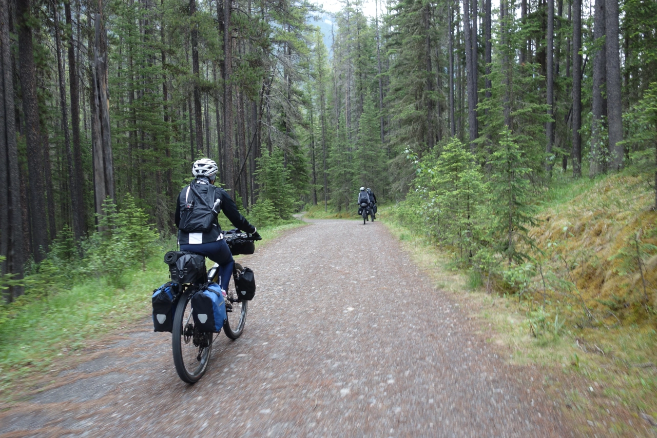 Auf dem Spray River West Trail
