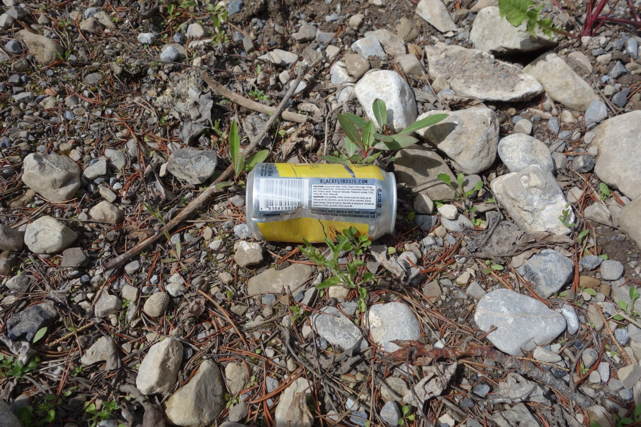 Nicht alle Kanadier lieben ihr Land